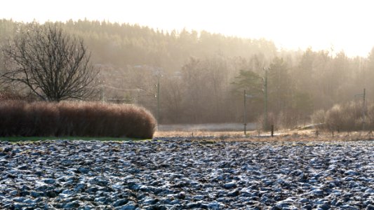 Frozen plowed field and haze