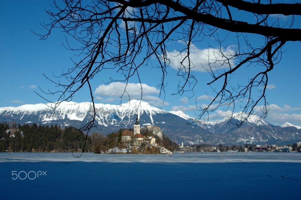 Frozen Lake Bled (156843859)