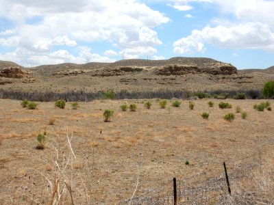 Fruitland Formation at type
