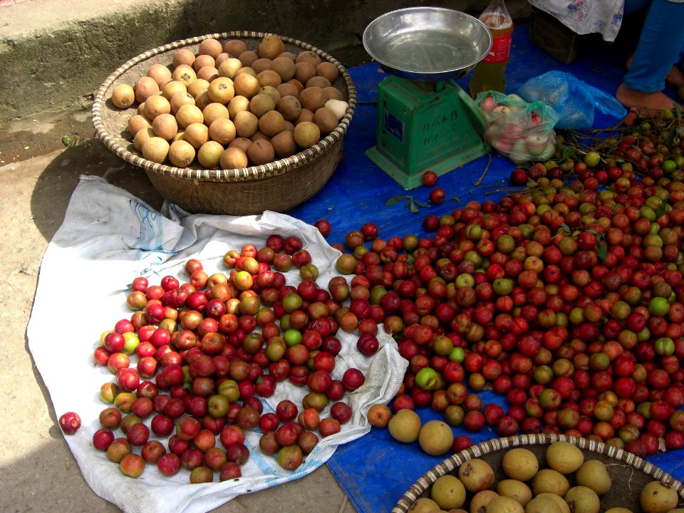 Fruits au marché