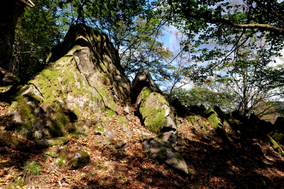 Fuchsstein Taunus 2020-08-18 10