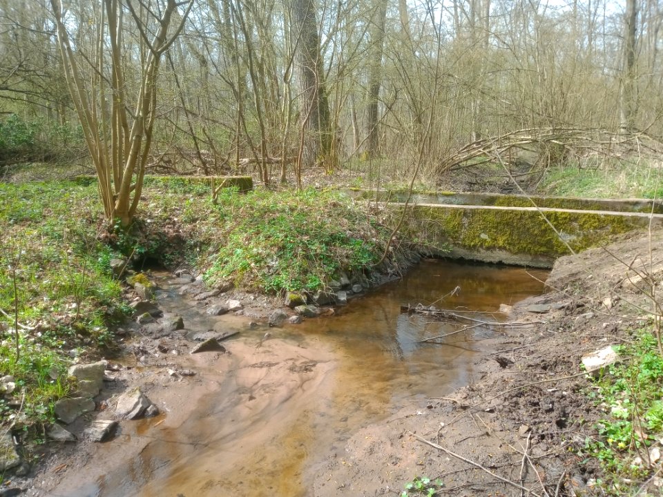 Fuchsbach, Gewässerkreuzung Floßbach (4)
