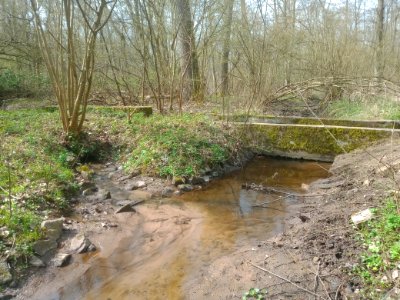 Fuchsbach, Gewässerkreuzung Floßbach (4)