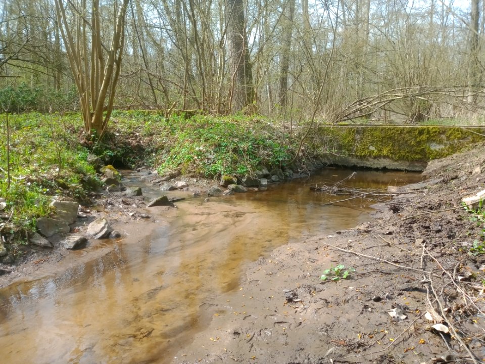 Fuchsbach, Gewässerkreuzung Floßbach (5)