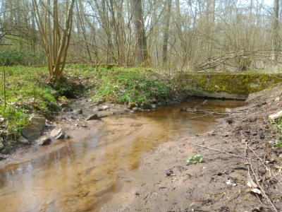 Fuchsbach, Gewässerkreuzung Floßbach (5)