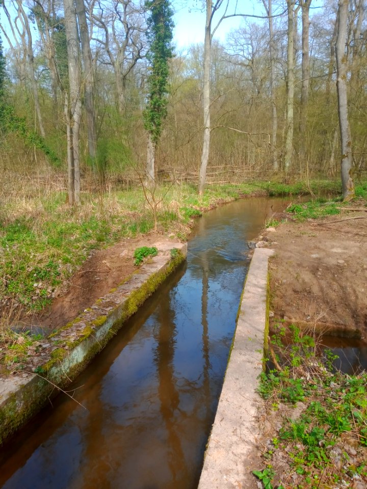 Fuchsbach, Gewässerkreuzung Floßbach (3)