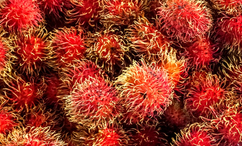 Fruit in Hong Kong Market