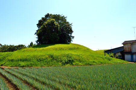 Fuchu-Atagoyama-kofun zenkei