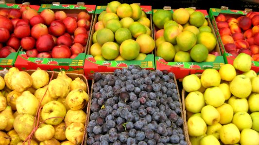 Fruit Bazzar - Front of Red crescent building - Panjrah - Nishapur 33