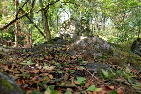 Fuchsstein Taunus 2020-08-18 02