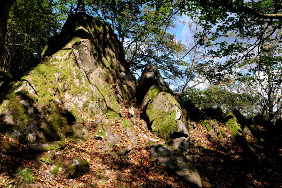 Fuchsstein Taunus 2020-08-18 11