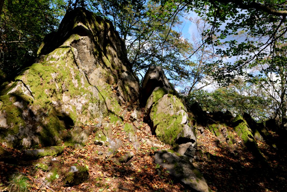 Fuchsstein Taunus 2020-08-18 12