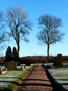 Frosty path in the old cemetery
