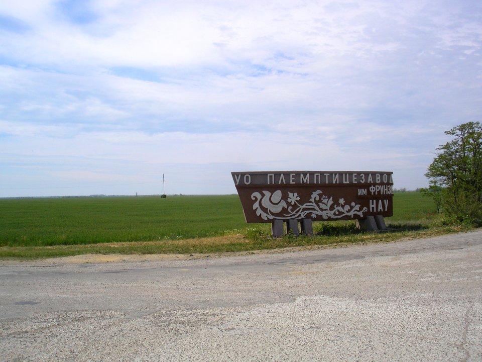 Frunze Sak 1