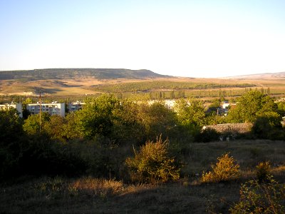 Frontovoe 3