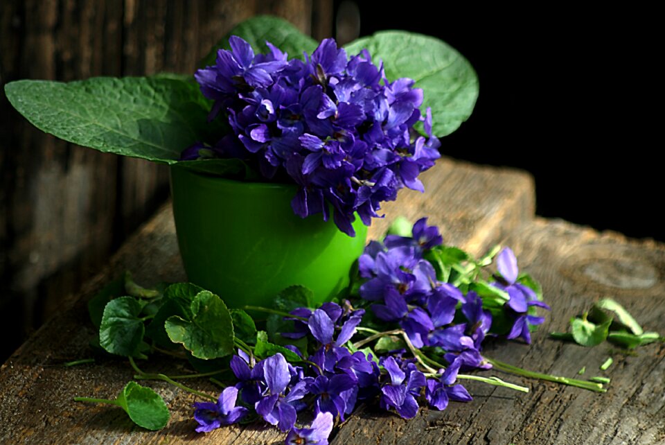 Still life spring flowers 1