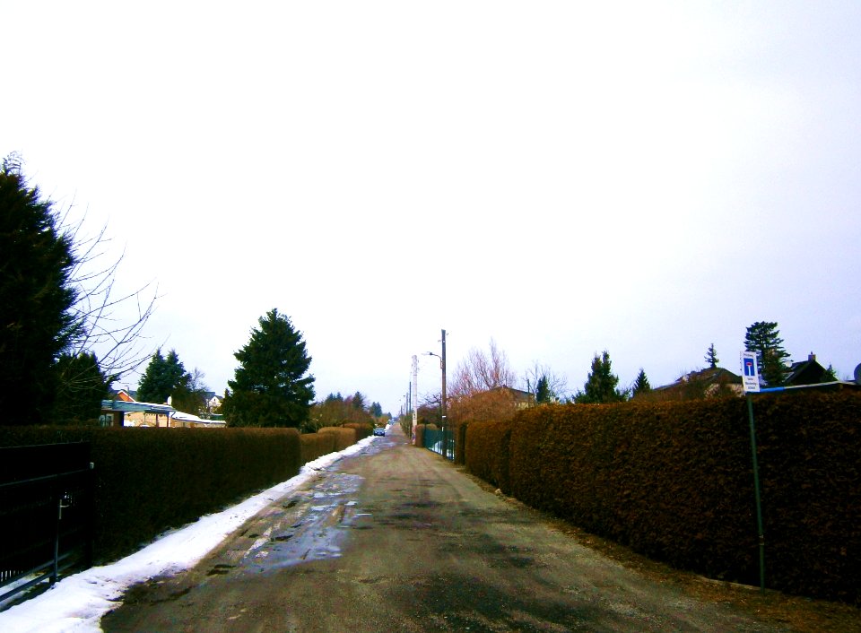 FrzBuchholz EdelweißTrifstr Nord
