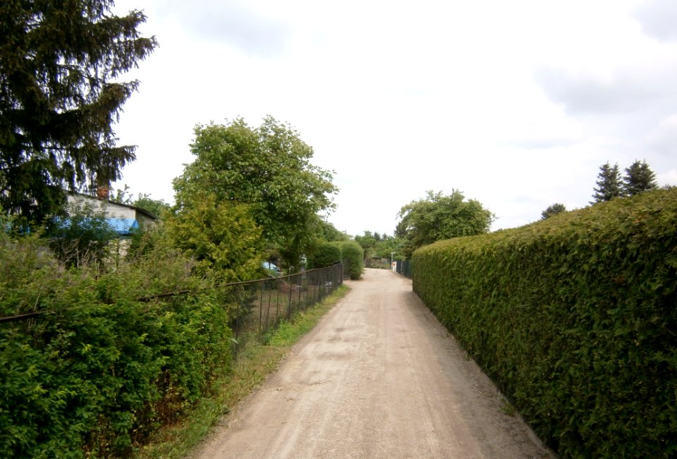 FrzBuchholz (70)Edelapfelweg Ost