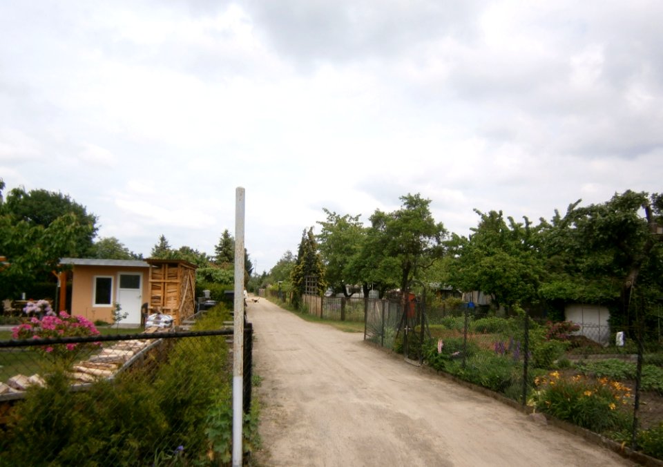 FrzBuchholz (73)Herrgottsapfelweg Nord 52.60894410090656-13.446868658065796