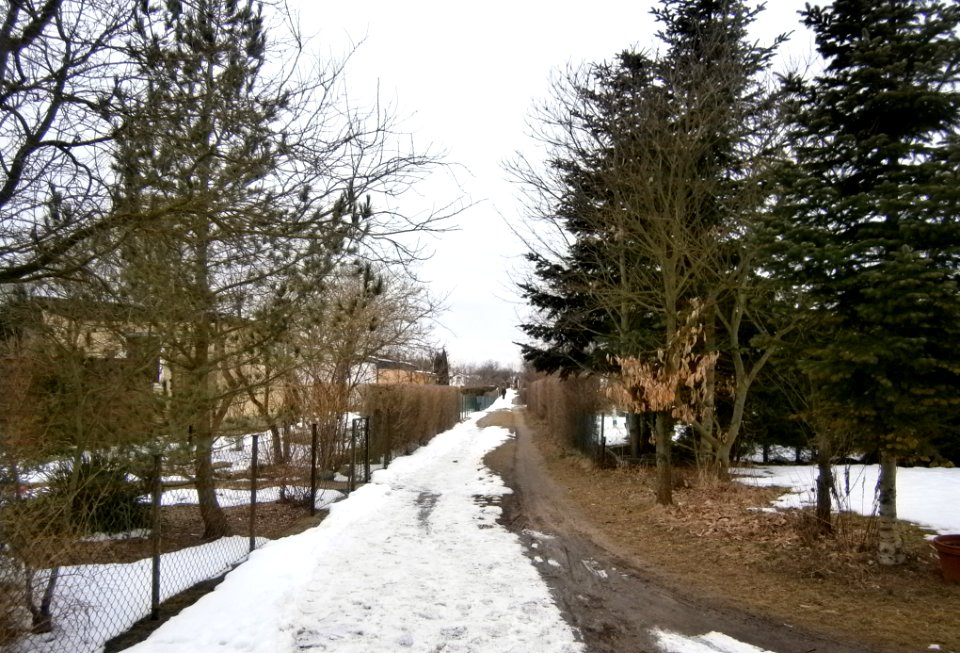 FrzBuchholz Straße103 KGAPappelgrundWest