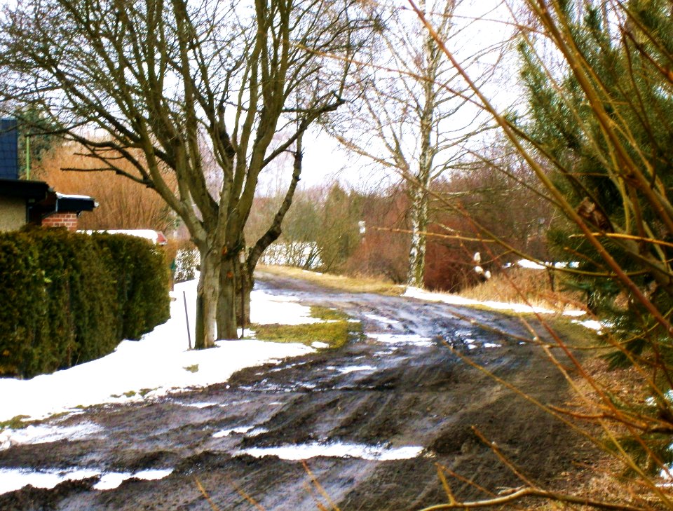 FrzBuchholz Straße180 KGASonnentalWest2