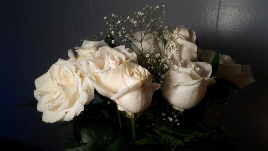 Love white flowers