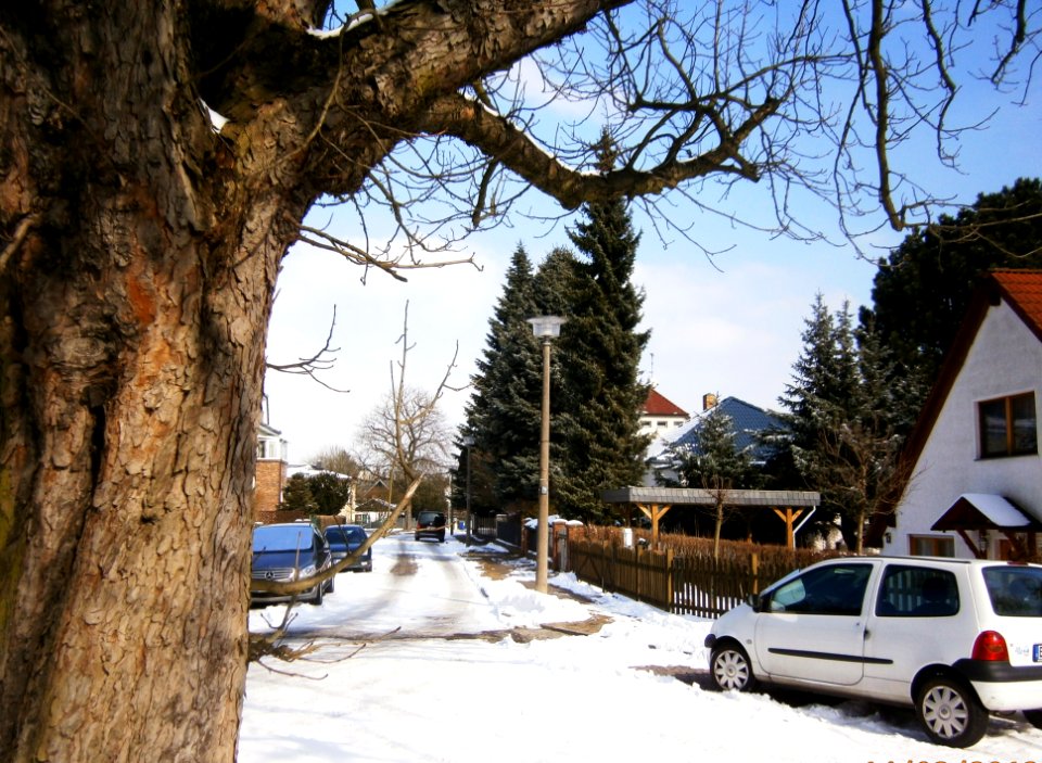 FrzBuchholz Margaretenaue Nord