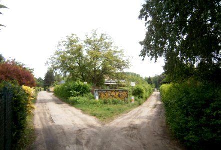 FrzBuchholz (58)Paradies-Eiserapfelweg SüdUndOst 52.603151789323775-13.443306684494019