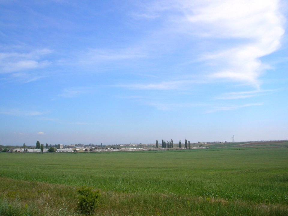 Frunze Saksky 2