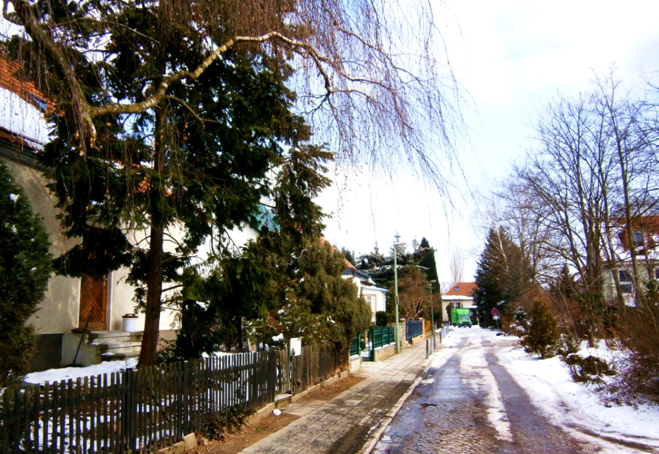FrzBuchholz Akkordeonweg Ost
