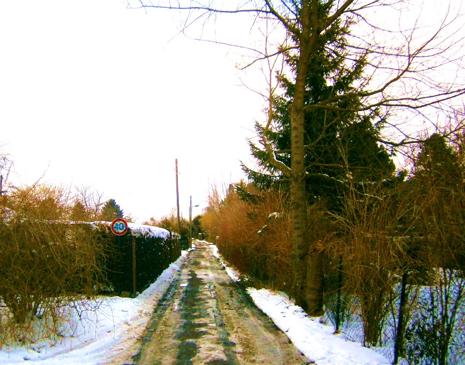 FrzBuchholz Picardieweg Süd