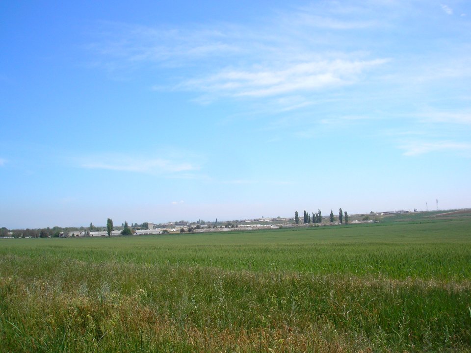 Frunze Sak 6