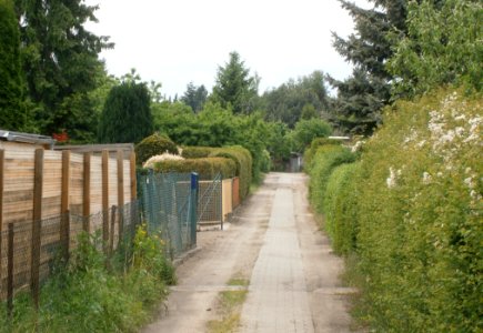 FrzBuchholz (22)Weinapfelweg Süd