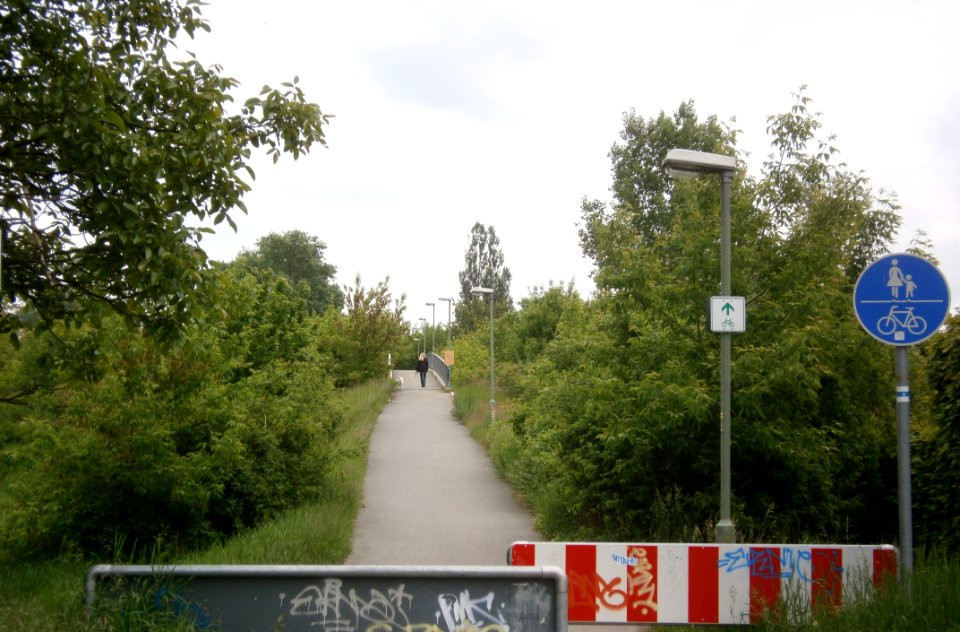 FrzBuchholz (27)KönigsteinbrückenRampe Ost