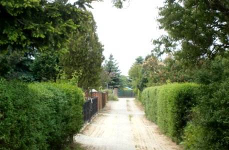 FrzBuchholz (16)Weinapfelweg Süd