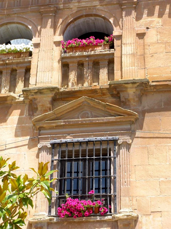 Fuenmayor - Iglesia de Santa María 32
