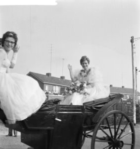Fruitcorso in Tiel, Bestanddeelnr 912-9644