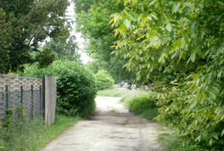 FrzBuchholz (21)Kantapfelweg West