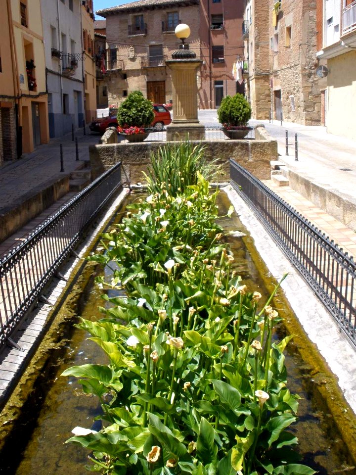 Fuenmayor - Fuente de San Juan o de los Siete Caños 1