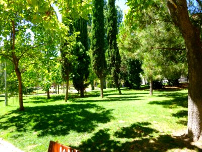 Fuenlabrada - Parque de la Paz 5