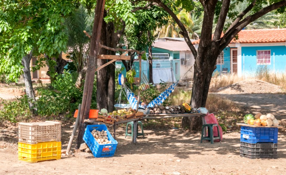 Fruit Vendor in Margarita Island