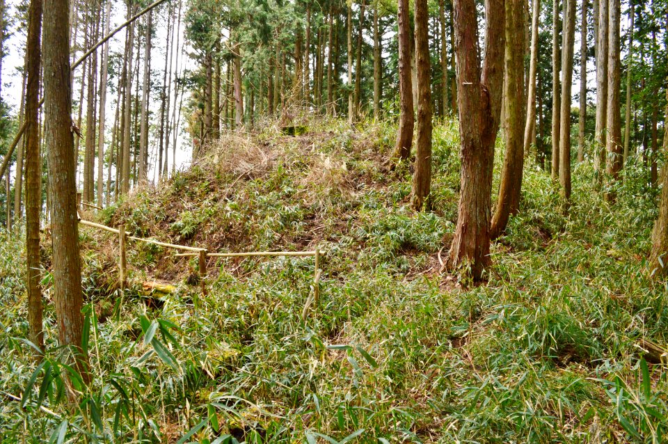 Fudozuka Kofun Group-2, funkyu