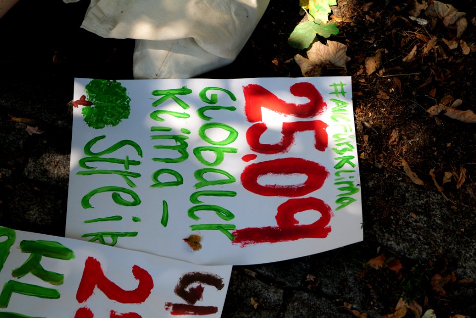 FridaysForFuture protest Berlin Spreewaldplatz 2020-08-07 34