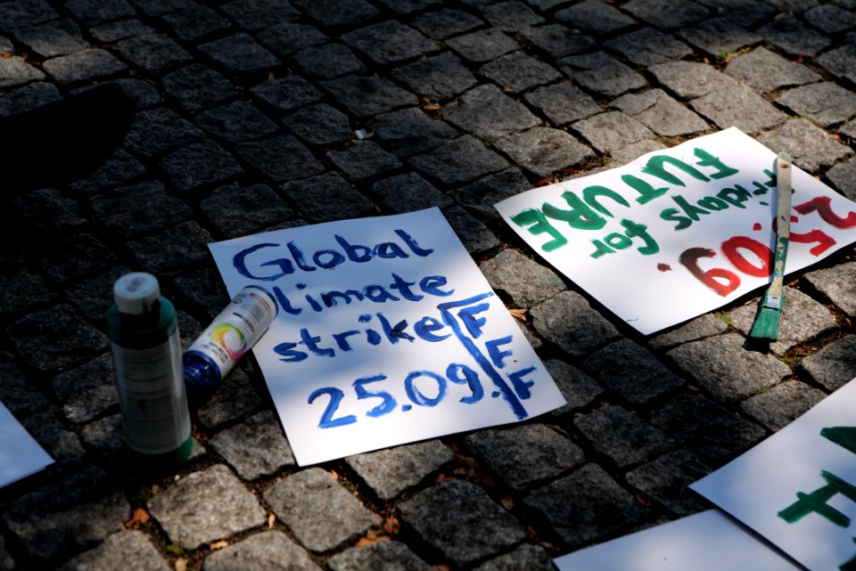 FridaysForFuture protest Berlin Spreewaldplatz 2020-08-07 21