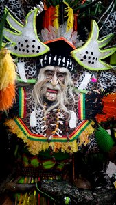 Feathers colors carnival
