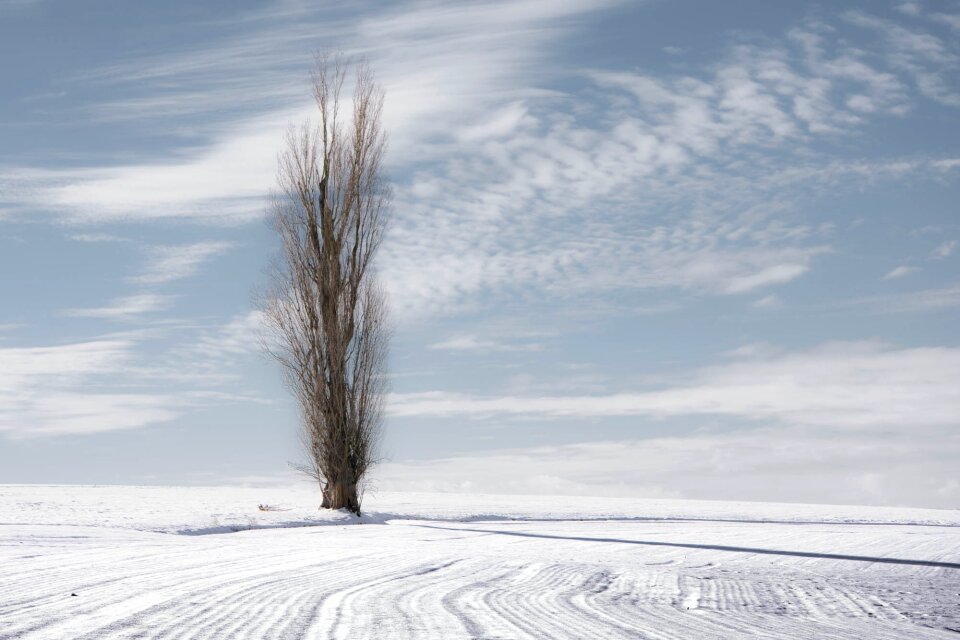 Landscape winter snowy landscape