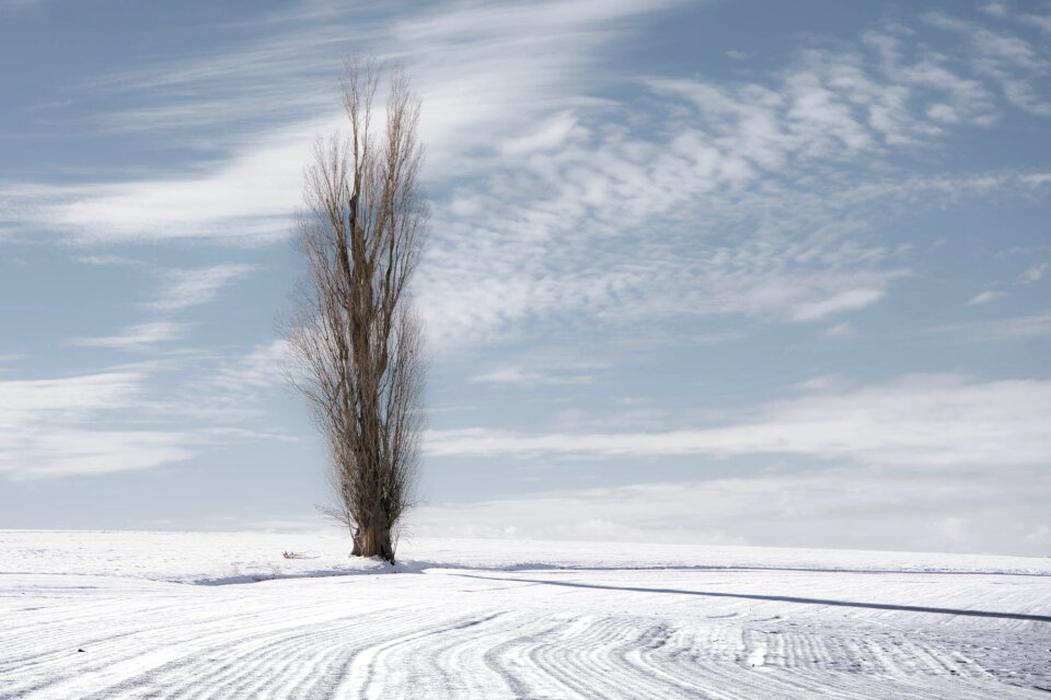 Landscape winter snowy landscape photo