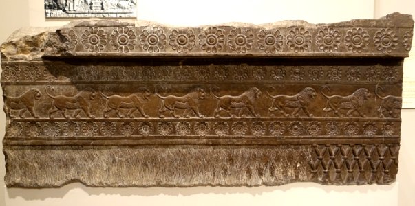 Frieze of Striding Lions, view 1, Iran, Persepolis, Palace G, Achaemenid Period, reigns of Darius I and Xerxes, 522-465 BC, limestone - Oriental Institute Museum, University of Chicago - DSC07972