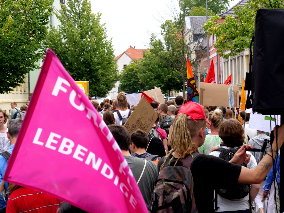 FridaysForFuture protest Luckenwalde 19-07-2019 24