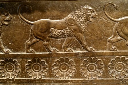 Frieze of Striding Lions, view 2, Iran, Persepolis, Palace G, Achaemenid Period, reigns of Darius I and Xerxes, 522-465 BC, limestone - Oriental Institute Museum, University of Chicago - DSC07975